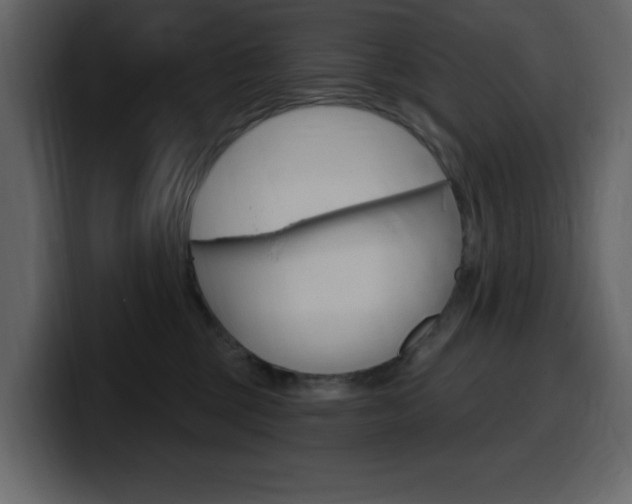 X0000099580377200805160751