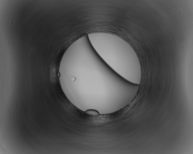 X0000099580378200805160751