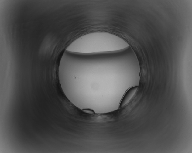 X0000099580379200805160751