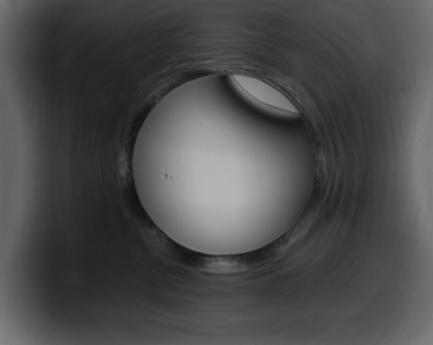 X0000099580380200805160751