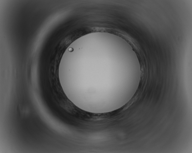 X0000099580381200805160751