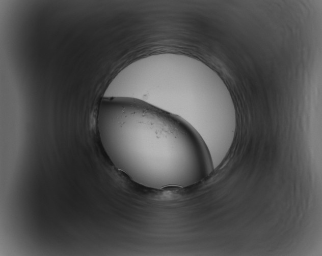 X0000099580382200805160751