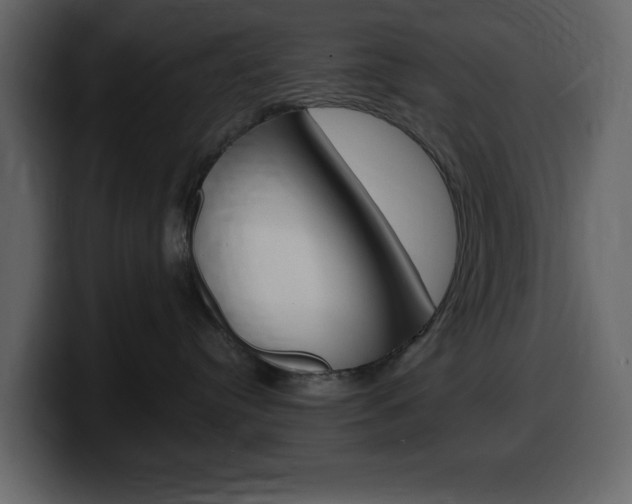 X0000099580384200805160751