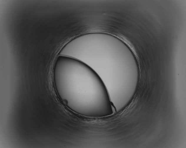 X0000099580385200805160750