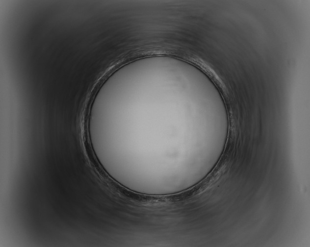 X0000099580386200805160750