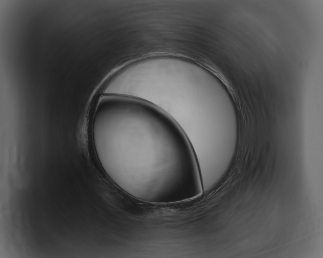 X0000099580387200805160750