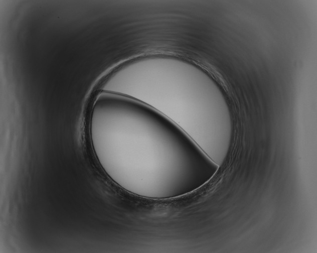 X0000099580388200805160750