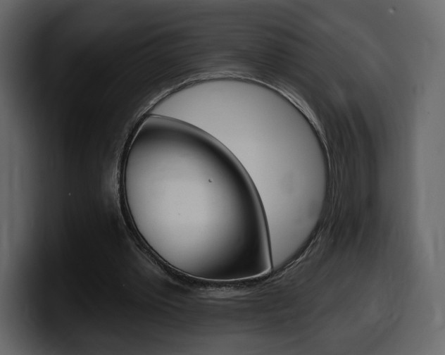 X0000099580389200805160750