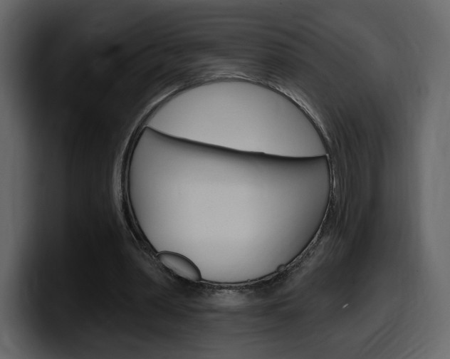 X0000099580390200805160750