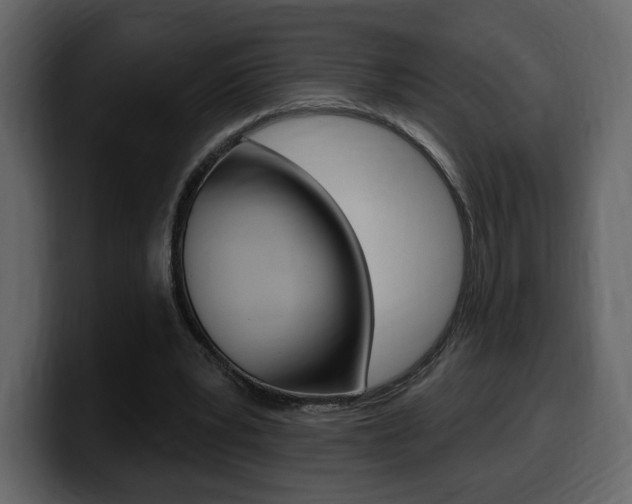 X0000099580391200805160750