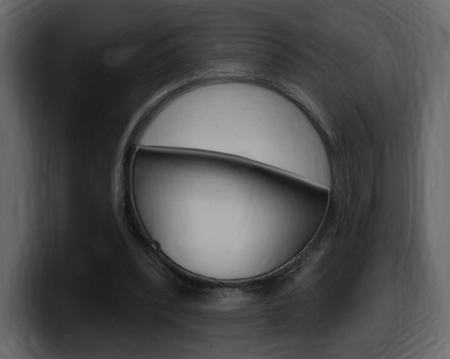 X0000099580392200805160750
