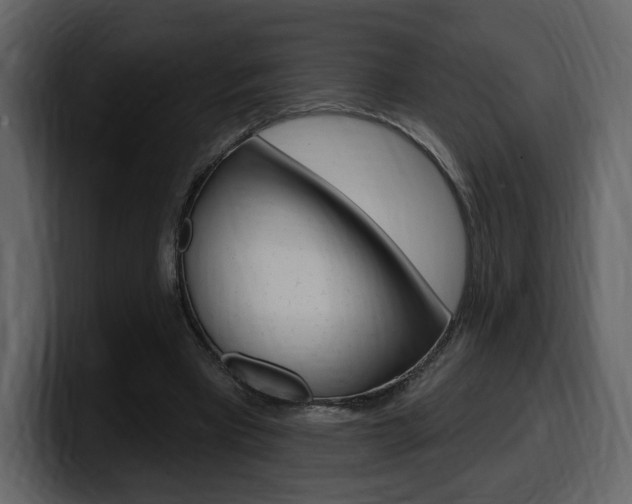 X0000099580393200805160750