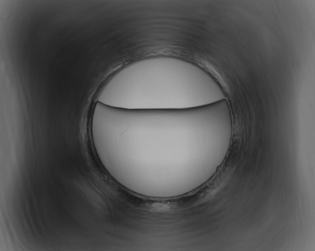 X0000099580394200805160750