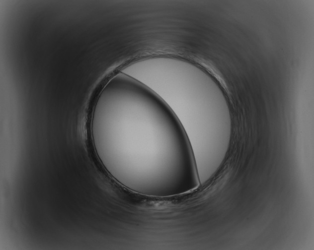 X0000099580395200805160750