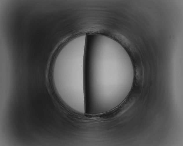 X0000099580396200805160750