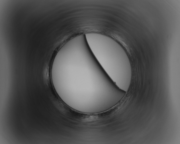 X0000099580398200805160750
