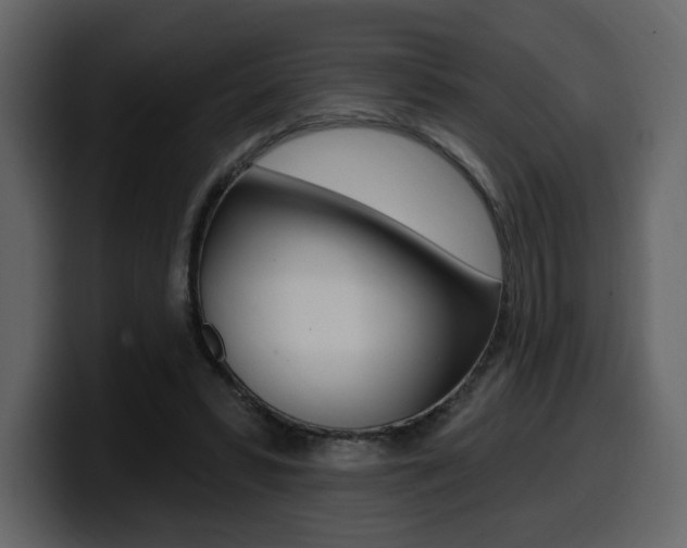 X0000099580399200805160750