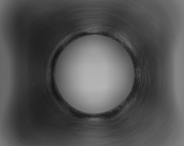 X0000099580400200805160750