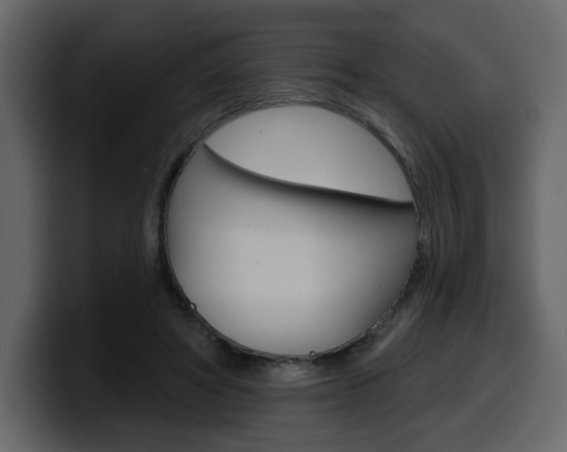 X0000099580402200805160750