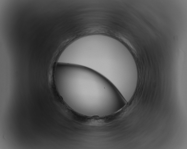 X0000099580403200805160750