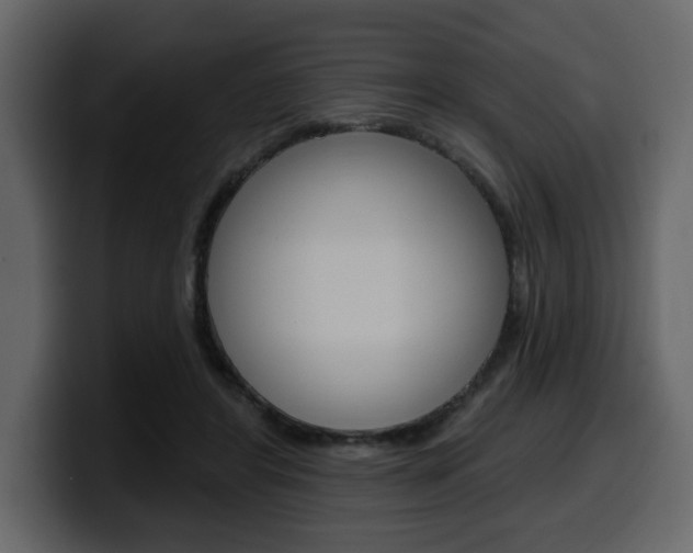 X0000099580404200805160750