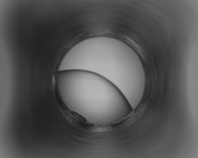 X0000099580405200805160750