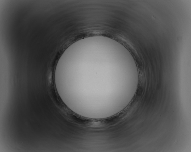 X0000099580406200805160750