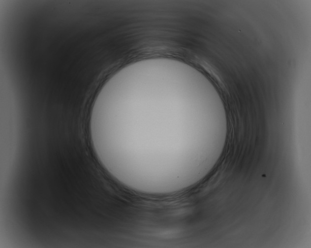 X0000099580407200805160750