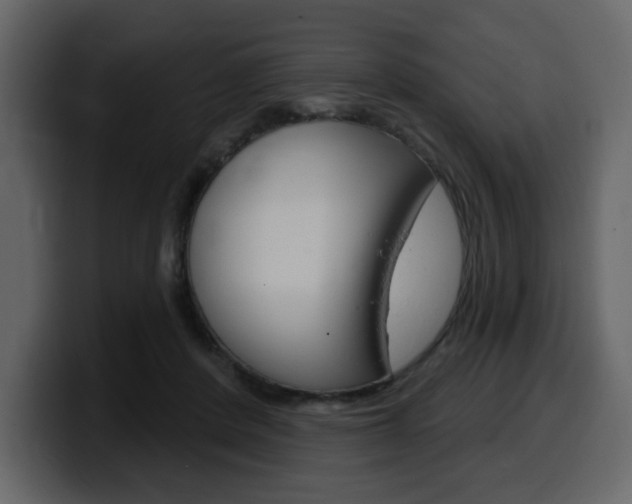 X0000099580408200805160750