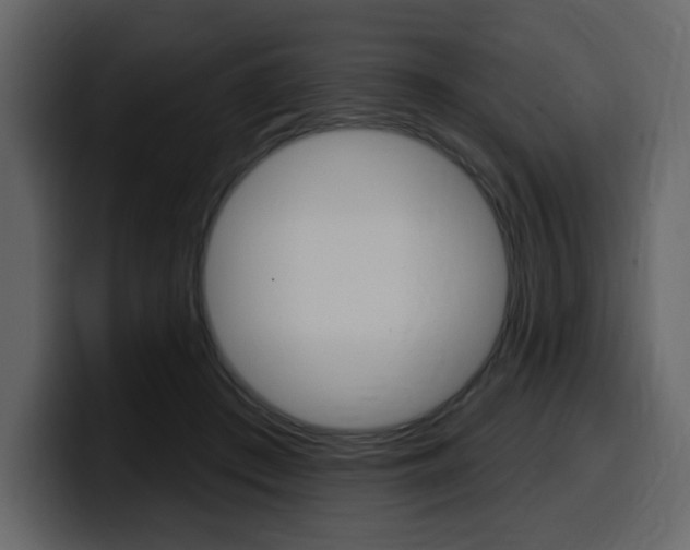 X0000099580409200805160750