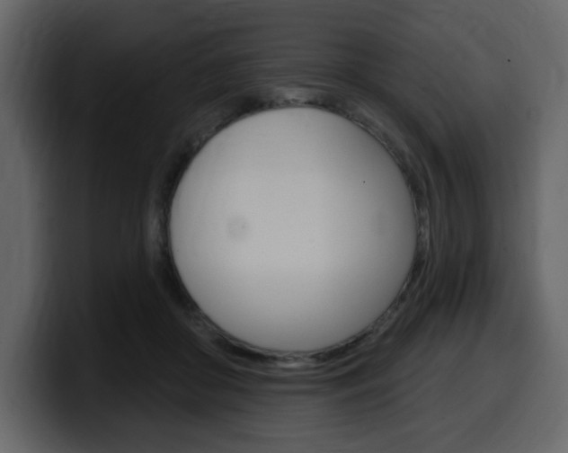 X0000099580410200805160750