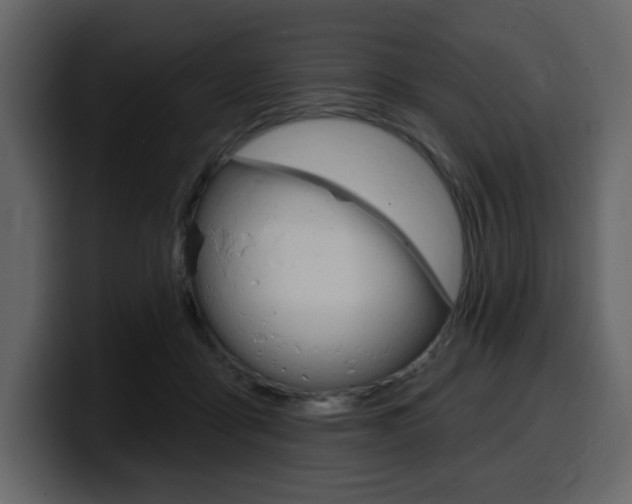 X0000099580411200805160750