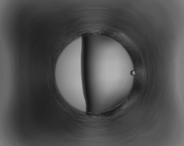 X0000099580412200805160750
