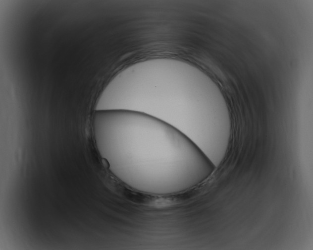 X0000099580413200805160750