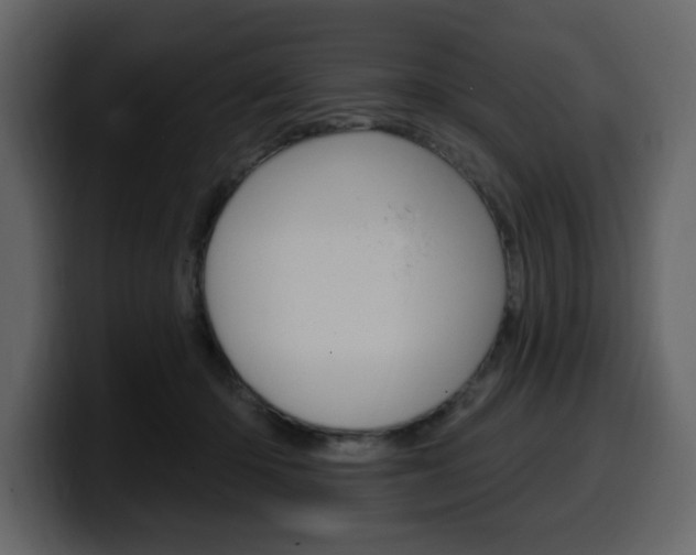 X0000099580414200805160750