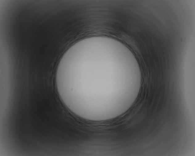 X0000099580415200805160750
