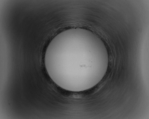 X0000099580416200805160750