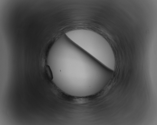 X0000099580417200805160750