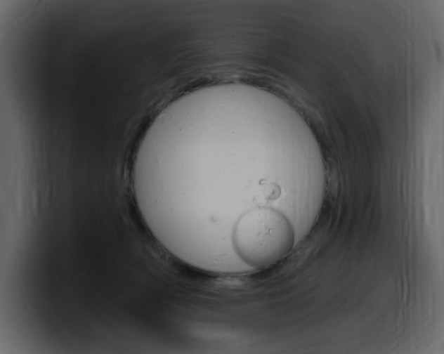 X0000099580418200805160750