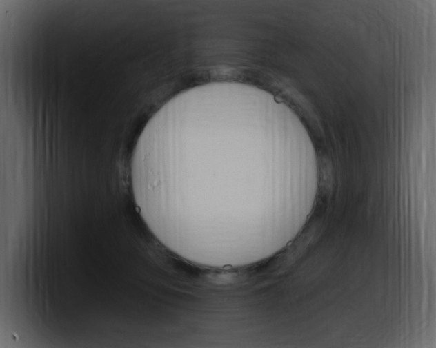 X0000099580419200805160750