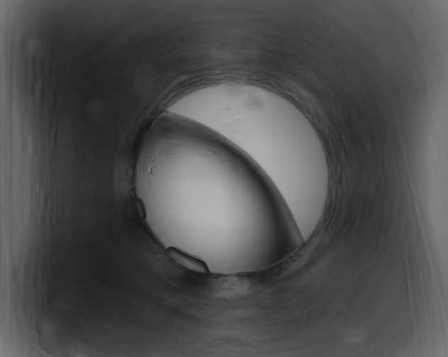 X0000099580421200805160750