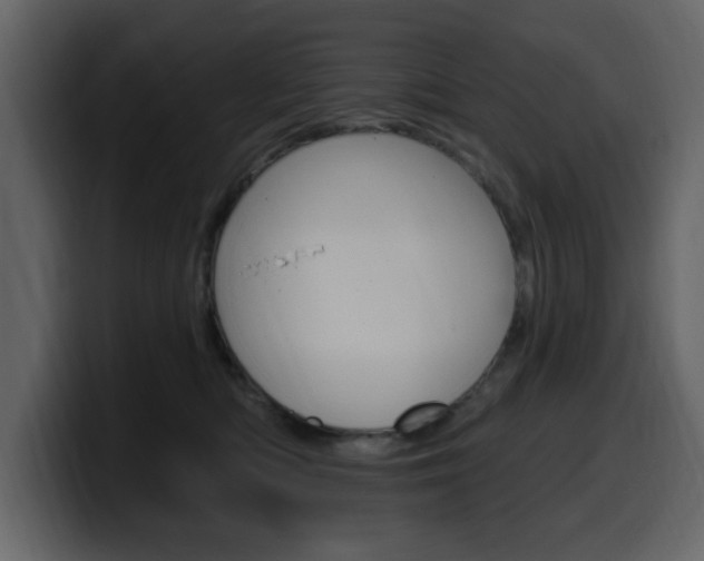X0000099580422200805160750
