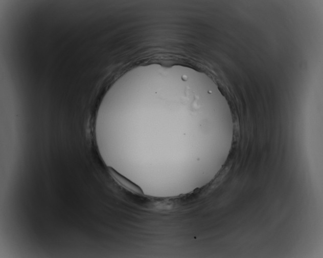X0000099580423200805160750