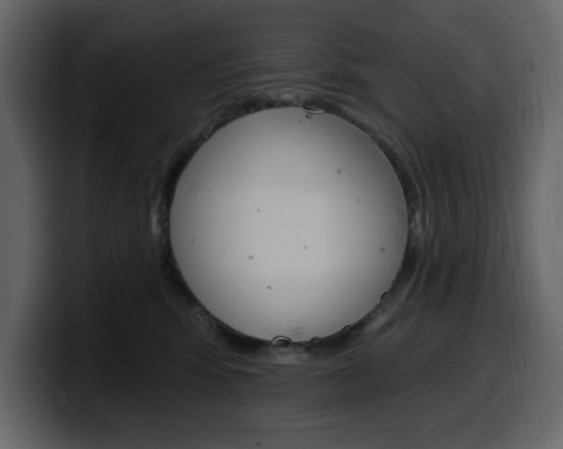 X0000099580424200805160750