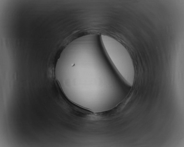X0000099580425200805160750