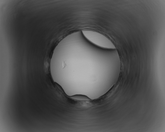 X0000099580427200805160750