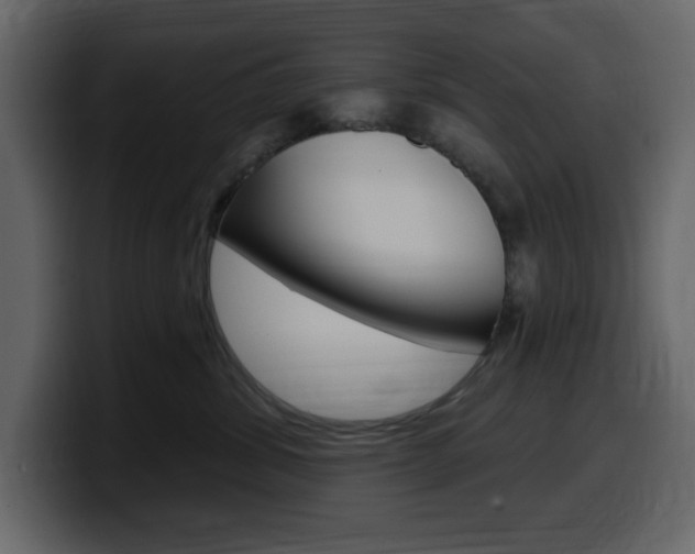 X0000099580428200805160750