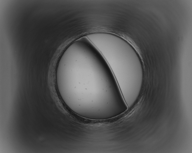 X0000099580433200805160749