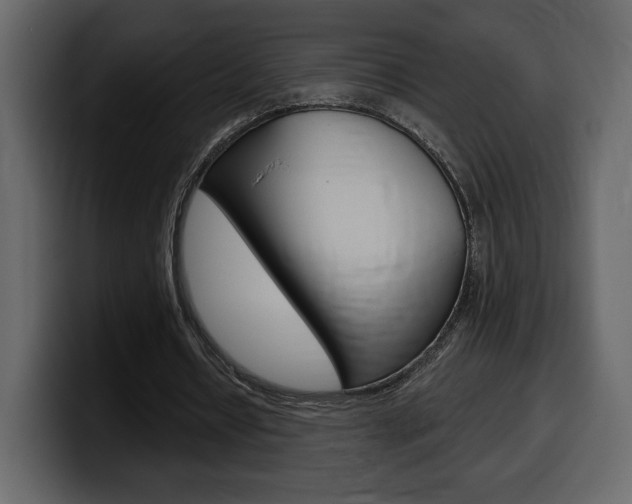 X0000099580434200805160749