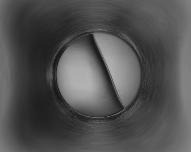 X0000099580435200805160749
